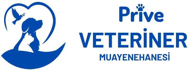 Prive firma logosu