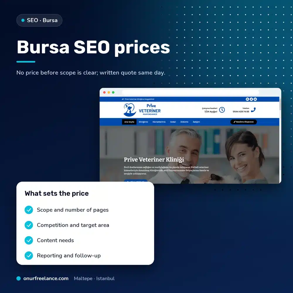 Bursa SEO prices: factors that determine the price
