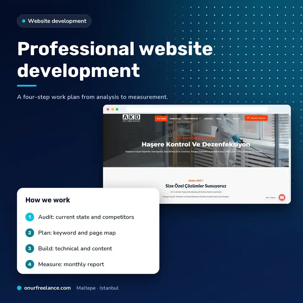Professional website development: process steps